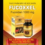 FUCOXXEL - Fucoidan 1000 MG
