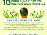 Công dụng tảo Spirulina