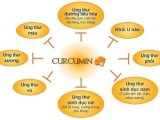 Phân Tích Khoa Học Về Cơ Chế Tác Động Của Nano Curcumin