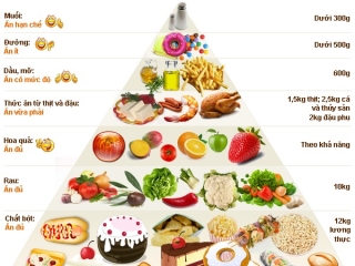 Tư Vấn Chế Độ Dinh Dưỡng Cho Người Bệnh