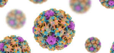 Nhiễm HPV Bao Lâu Thì Bị Ung Thư