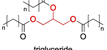 Triglyceride là gì?