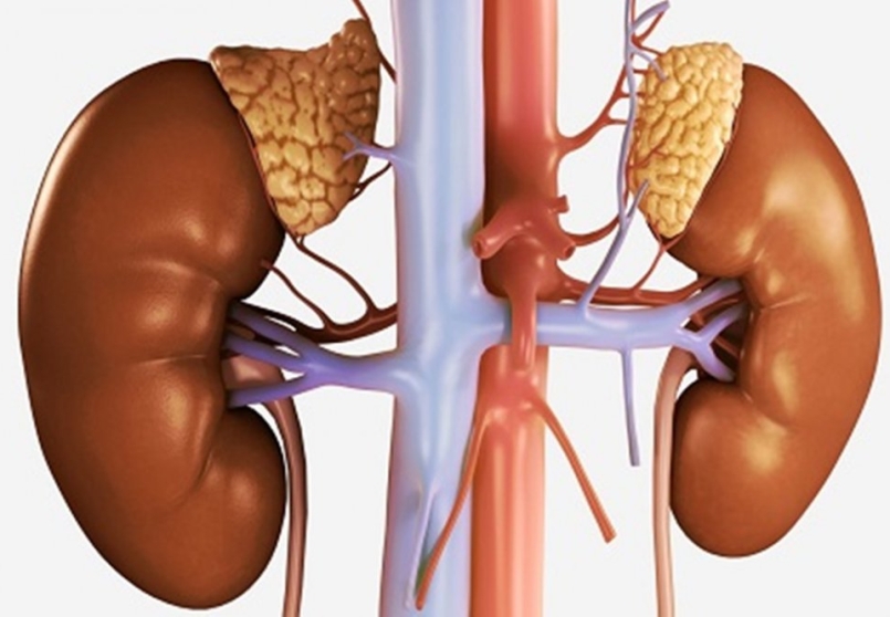 Tại sao suy thận được ví như “kẻ giết người thầm lặng"?